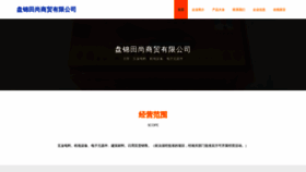 What Pioyatz.cn website looked like in 2023 (This year)