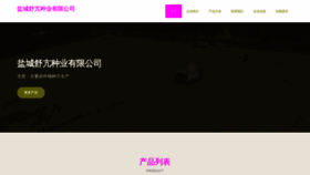 What Pkkjdsn.cn website looked like in 2023 (This year)