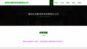 What Pohphyo.cn website looked like in 2023 (This year)