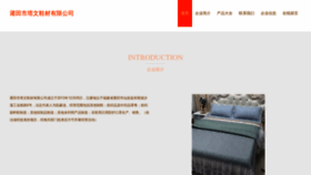 What Ptzstaw.cn website looked like in 2023 (This year)