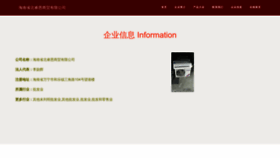 What Pw0bvr8.cn website looked like in 2023 (This year)