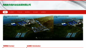 What Pwzznxs.cn website looked like in 2023 (This year)