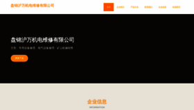 What Pjtischv.cn website looked like in 2023 (This year)
