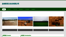 What Pjslcw.cn website looked like in 2023 (This year)