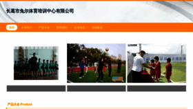 What P29m.cn website looked like in 2023 (This year)