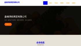 What Pingt4we12.cn website looked like in 2023 (This year)