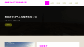 What Pipogiz.cn website looked like in 2023 (This year)