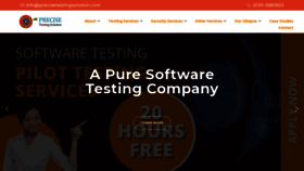 What Precisetestingsolution.com website looked like in 2023 (This year)