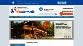 What Progermetik.ru website looked like in 2023 (This year)