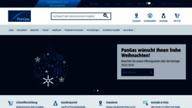 What Pangas.ch website looked like in 2023 (This year)