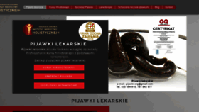 What Pijawki.org website looks like in 2024 