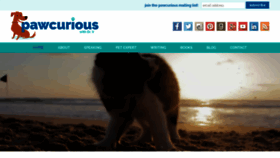 What Pawcurious.com website looks like in 2024 