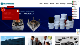 What Plasticmoldcn.com website looks like in 2024 
