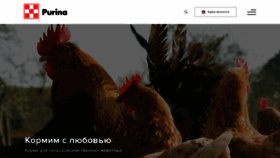 What Purina-agro.ru website looks like in 2024 