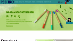 What Pesitrohealthcare.com website looks like in 2024 