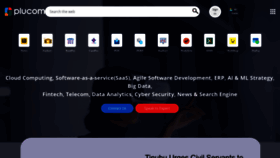 What Plucom.com.ng website looks like in 2024 