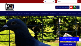 What Pigeon.org website looks like in 2024 