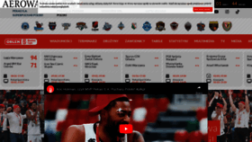 What Plk.pl website looked like in 2024 (1 year ago)