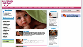 What Pregnancy-info.net website looks like in 2024 