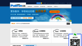 What Pubyun.com website looks like in 2024 