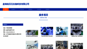 What Pinmeishuo.cn website looks like in 2024 