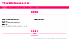 What Plzen.cn website looks like in 2024 