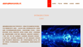 What Pkshangcheng.com website looks like in 2024 