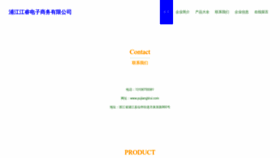 What Pujiangtirui.com website looks like in 2024 