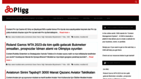 What Pligg.com website looked like in 2024 (1 year ago)