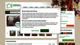 What Przepisownia.pl website looks like in 2024 