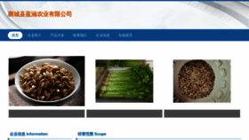 What P4v9m5.cn website looks like in 2024 
