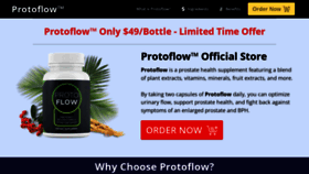 What Protoflowbuynow.us website looks like in 2024 