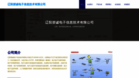 What Pengchengkj.top website looks like in 2024 