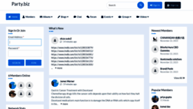 What Party.biz website looked like in 2024 (2 years ago)