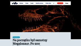 What Projektpulsar.pl website looks like in 2024 