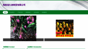 What Pujiutao.cn website looks like in 2024 