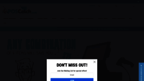What Poscatch.com website looks like in 2024 