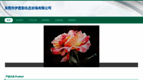 What Prxyiecw.cn website looks like in 2024 