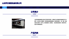 What Pinganmemo.com website looks like in 2024 