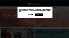 What Pantonecn.com website looks like in 2024 