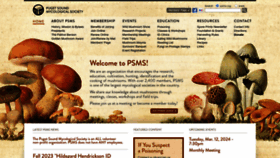 What Psms.org website looks like in 2024 