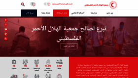 What Palestinercs.org website looks like in 2024 