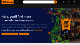 What Promega.com website looks like in 2024 