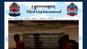What Palyul.org website looks like in 2024 