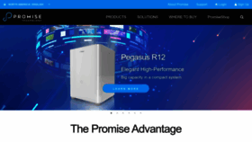 What Promise.com website looks like in 2024 