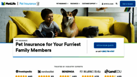 What Petfirst.com website looks like in 2024 
