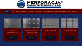What Perforacja.eu website looks like in 2024 