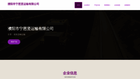What Protonex.cn website looks like in 2024 