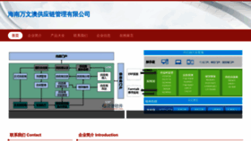 What Pwav.cn website looks like in 2024 