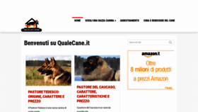 What Qualecane.it website looked like in 2020 (4 years ago)